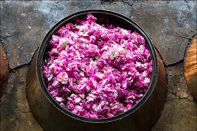 iranian rosewater - golab