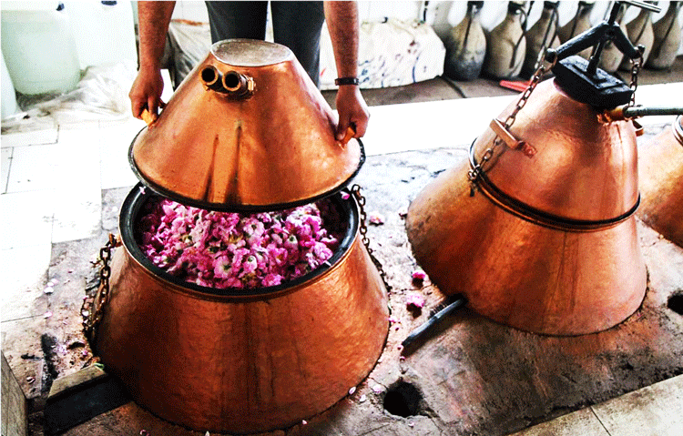 iranian rosewater method