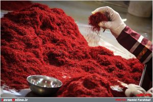 saffron - Iran’s saffron exports up by 42%  - Blog