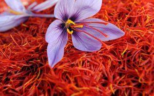 saffron