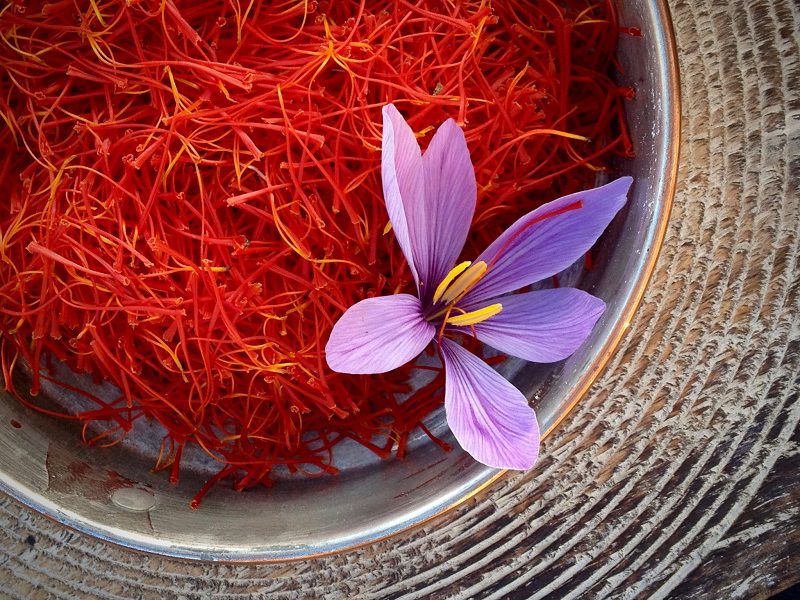 saffron iran