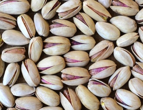 iranian long pistachio