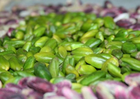 iranian green pistachio