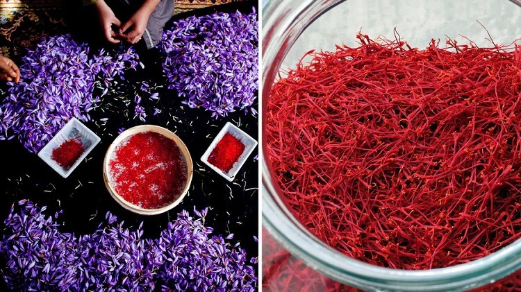 saffron iran iranian saffron