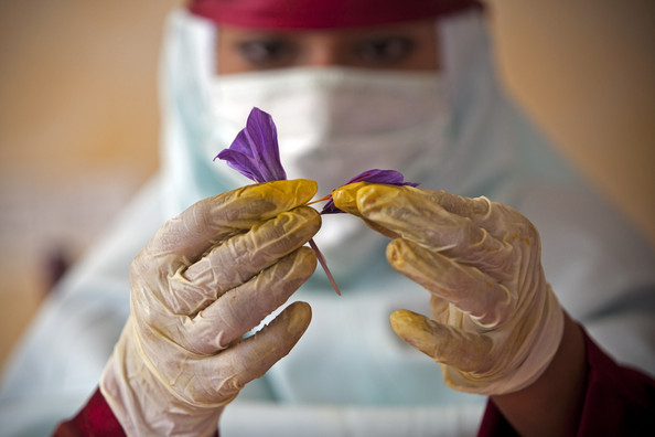 Iran accounts for 92% of world saffron output