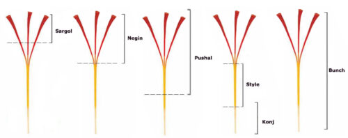 iranian saffron grades