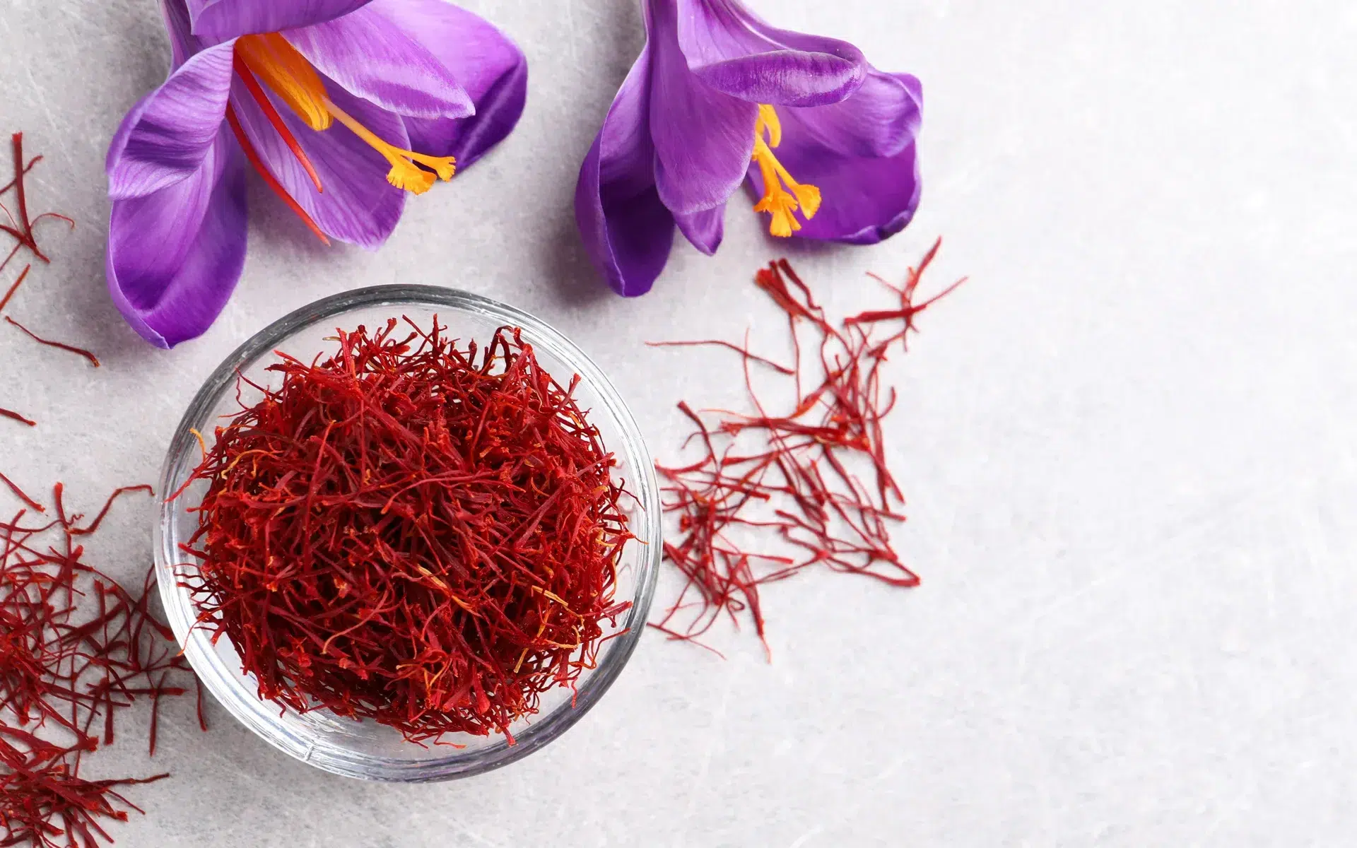 Blog Safron re size 1 saffron