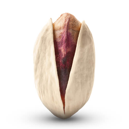 PersianPride super long akbari pistachio pistachio