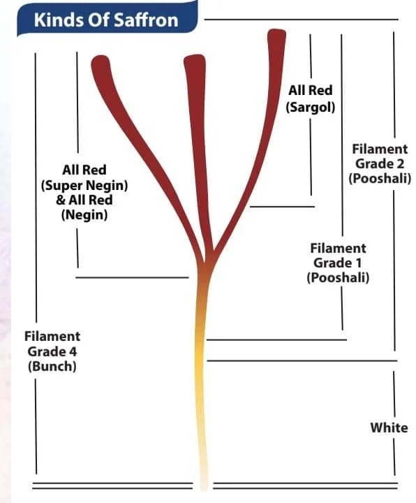 negin saffron vs sargol