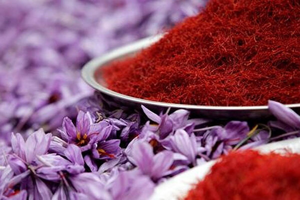 iranian saffron